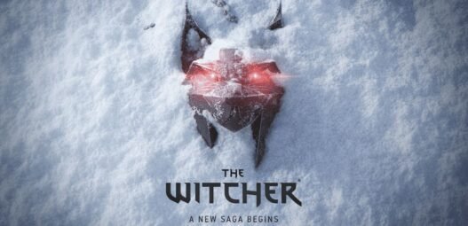 The Witcher