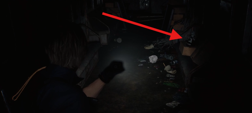 Resident Evil Requiem Raccoon