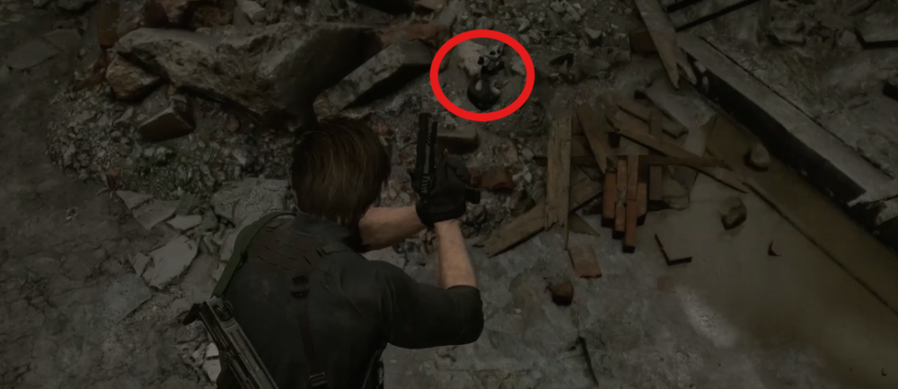 Resident Evil Requiem Raccoon
